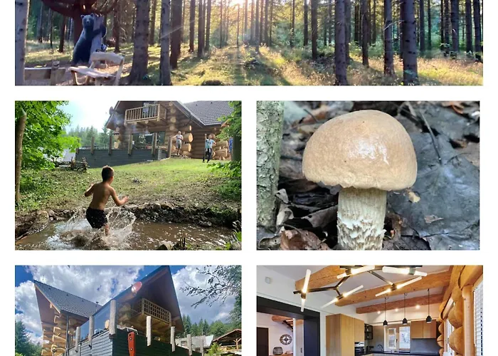 Chalet Zrub Ontario, Tale Horna Lehota